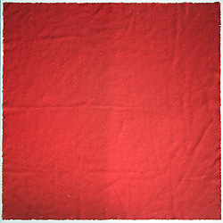 farbstoff, 2005