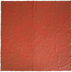 farbstoff, 2005