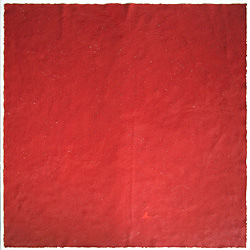 farbstoff, 2005