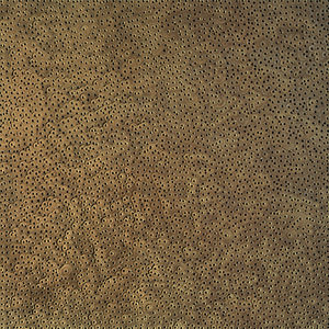 wood, 1999